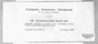 Image Associated With the Occurence
